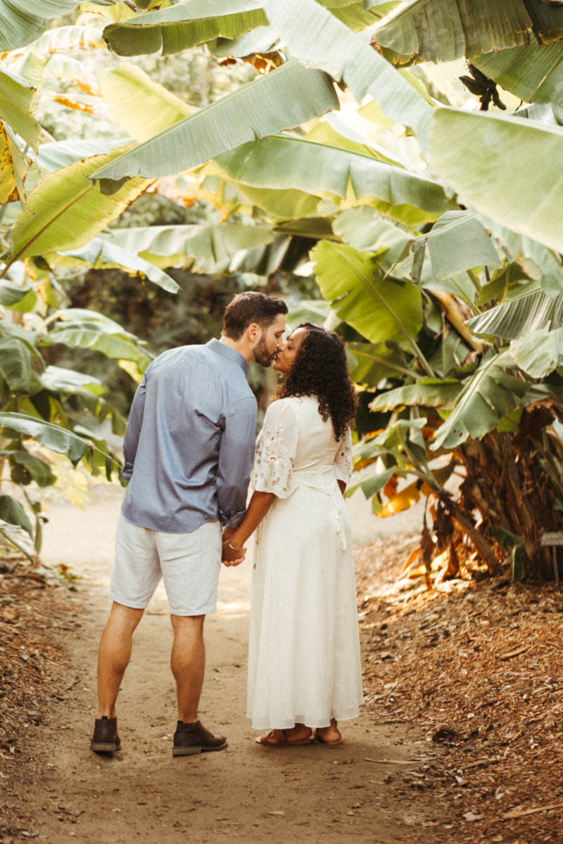 san-diego-botanic-garden-banana-trees